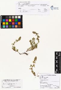 SW_BNB_s3070-01050_IMG-0000000001