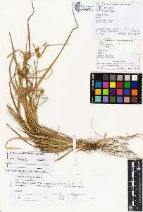 SW_BNB_s3070-01051_IMG-0000000001