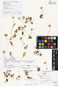 SW_BNB_s3070-01052_IMG-0000000001