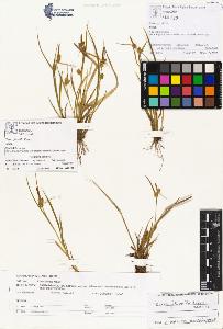 SW_BNB_s3070-01053_IMG-0000000001