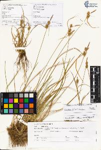 SW_BNB_s3070-01056_IMG-0000000001