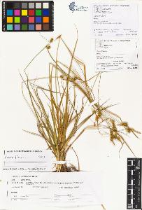 SW_BNB_s3070-01057_IMG-0000000001