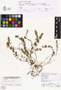 SW_BNB_s3070-01060_IMG-0000000001