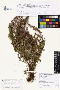 SW_BNB_s3070-01061_IMG-0000000001
