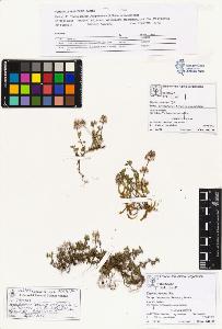 SW_BNB_s3070-01062_IMG-0000000001