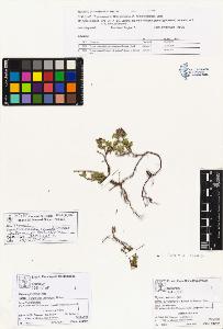 SW_BNB_s3070-01063_IMG-0000000001
