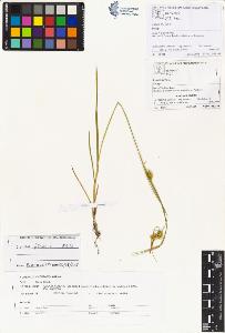 SW_BNB_s3070-01064_IMG-0000000001