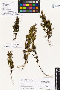 SW_BNB_s3070-01066_IMG-0000000001