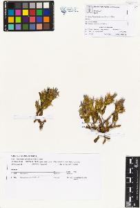 SW_BNB_s3070-01067_IMG-0000000001