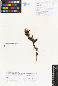 SW_BNB_s3070-01068_IMG-0000000001