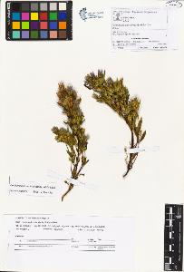 SW_BNB_s3070-01069_IMG-0000000001