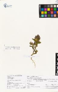 SW_BNB_s3070-01071_IMG-0000000001