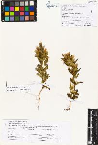 SW_BNB_s3070-01072_IMG-0000000001