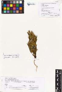SW_BNB_s3070-01073_IMG-0000000001