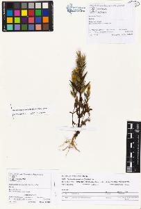 SW_BNB_s3070-01074_IMG-0000000001