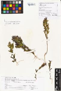 SW_BNB_s3070-01076_IMG-0000000001
