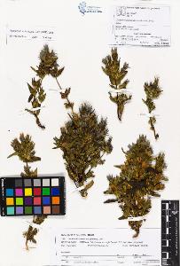SW_BNB_s3070-01077_IMG-0000000001