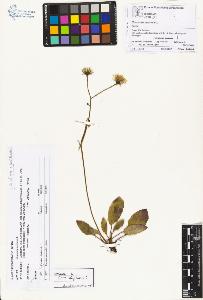 SW_BNB_s3070-01079_IMG-0000000001