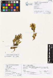 SW_BNB_s3070-01082_IMG-0000000001