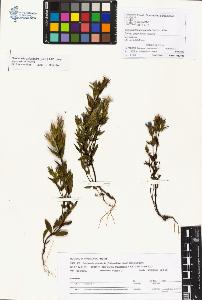 SW_BNB_s3070-01087_IMG-0000000001