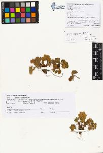 SW_BNB_s3070-01088_IMG-0000000001