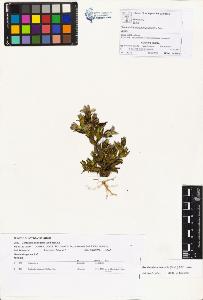 SW_BNB_s3070-01091_IMG-0000000001
