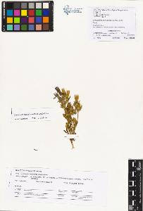 SW_BNB_s3070-01092_IMG-0000000001
