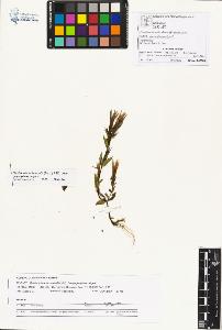 SW_BNB_s3070-01093_IMG-0000000001