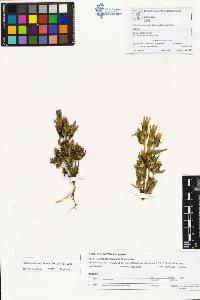 SW_BNB_s3070-01094_IMG-0000000001
