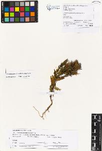 SW_BNB_s3070-01095_IMG-0000000001