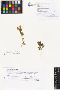 SW_BNB_s3070-01096_IMG-0000000001