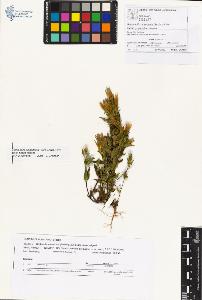 SW_BNB_s3070-01097_IMG-0000000001