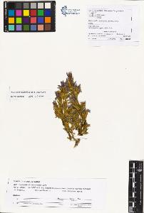 SW_BNB_s3070-01098_IMG-0000000001