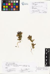 SW_BNB_s3070-01099_IMG-0000000001