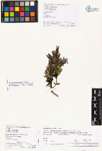 SW_BNB_s3070-01100_IMG-0000000001