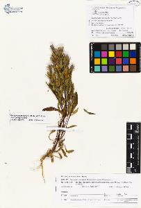 SW_BNB_s3070-01101_IMG-0000000001