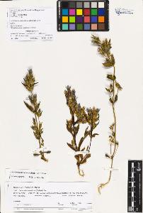SW_BNB_s3070-01102_IMG-0000000001