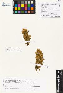 SW_BNB_s3070-01103_IMG-0000000001