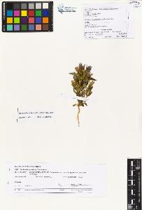 SW_BNB_s3070-01104_IMG-0000000001