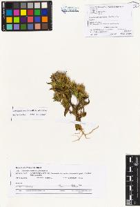 SW_BNB_s3070-01105_IMG-0000000001