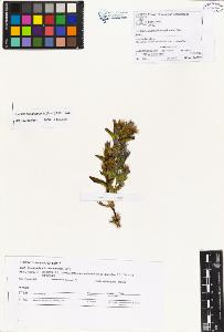 SW_BNB_s3070-01106_IMG-0000000001