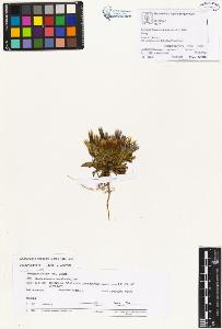 SW_BNB_s3070-01107_IMG-0000000001