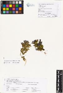 SW_BNB_s3070-01108_IMG-0000000001