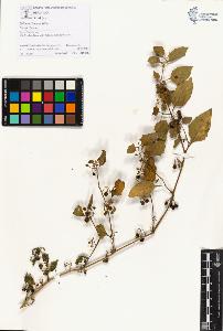 SW_BNB_s3070-01112_IMG-0000000001