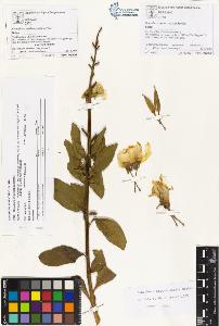 SW_BNB_s3070-01113_IMG-0000000001
