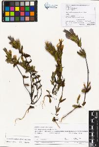 SW_BNB_s3070-01115_IMG-0000000001