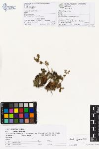 SW_BNB_s3070-01117_IMG-0000000001