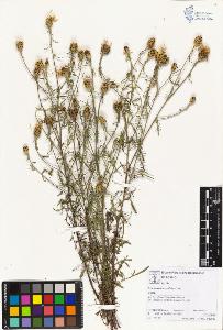 SW_BNB_s3070-01121_IMG-0000000001