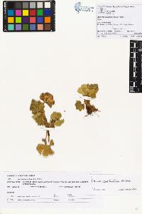 SW_BNB_s3070-01122_IMG-0000000001