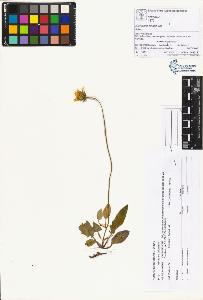 SW_BNB_s3070-01123_IMG-0000000001